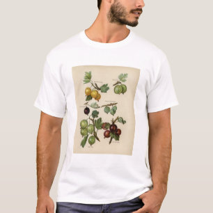 Vintage Darstellung der Stachelbeere T-Shirt