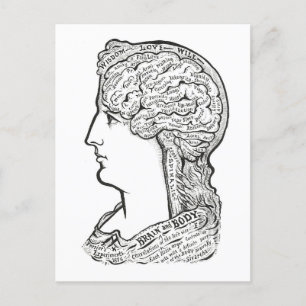 Vintage Darstellung der Verbindung des Gehirns Postkarte