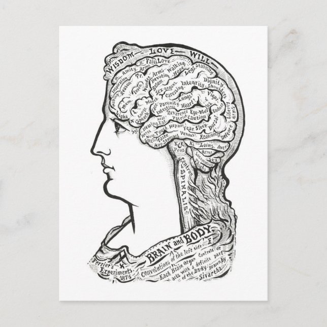 Vintage Darstellung der Verbindung des Gehirns Postkarte (Vorderseite)