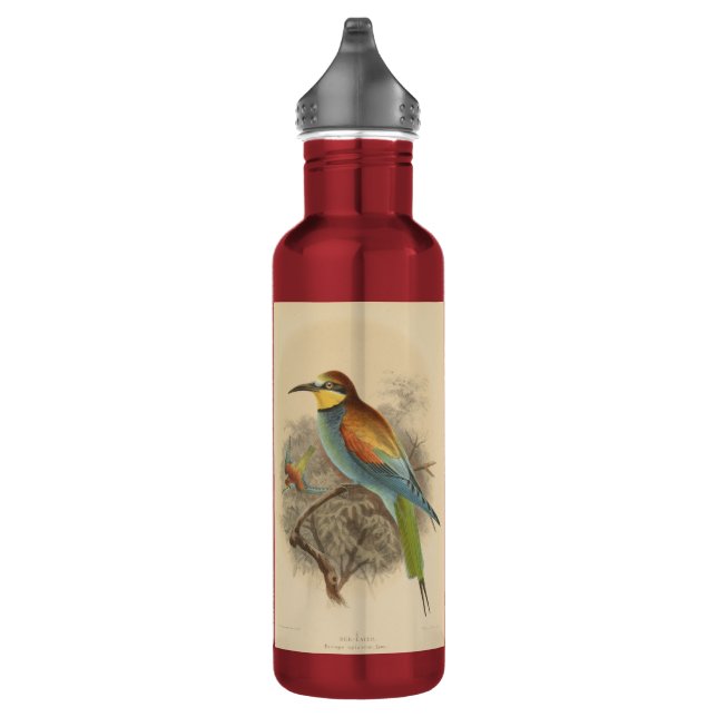 Vintage Darstellung des europäischen Bienenfresser Edelstahlflasche (Rechts)