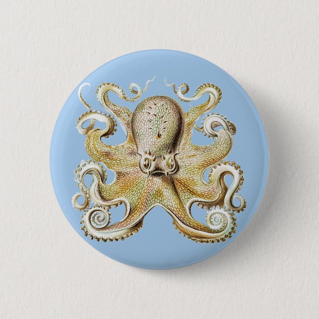 Vintage Darstellung des Meereslebens Octopus Button (Vorderseite)