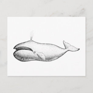 Vintage Darstellung des Whales von Bowhad Postkarte