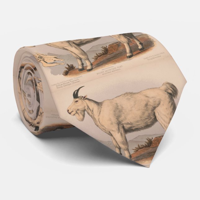 Vintage Darstellung einer Ziege (1874) Krawatte (Gerollt)
