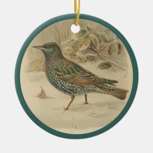 Vintage Darstellung Keramik Ornament (Vorne)