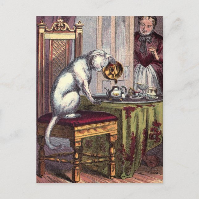 Vintage Darstellung: Puss Making Tee Postkarte (Vorderseite)