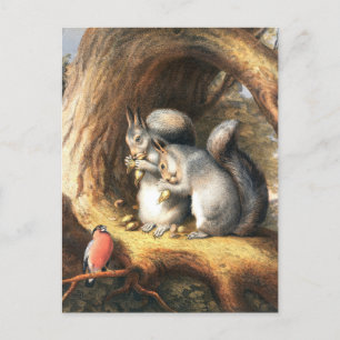 Vintage Darstellung von Eichhörnchen und Vögeln Postkarte