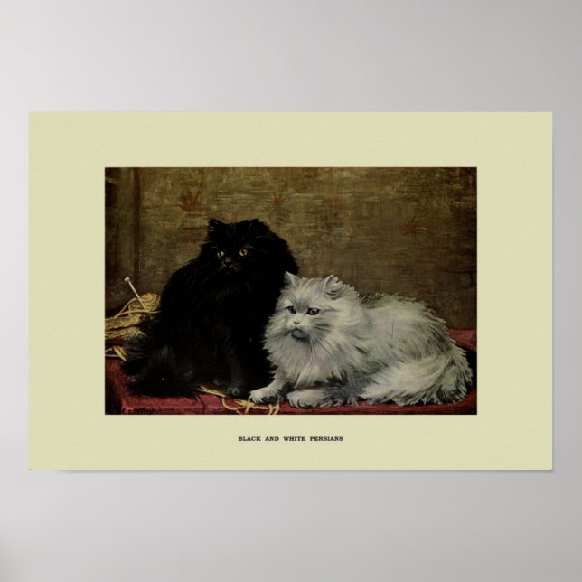 Vintage Darstellung von Katzen Poster (Vorne)
