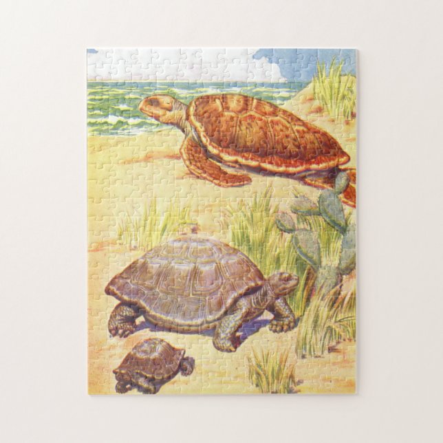 Vintage das Buch-Illustrations-Schildkröten der Puzzle (Vertikal)