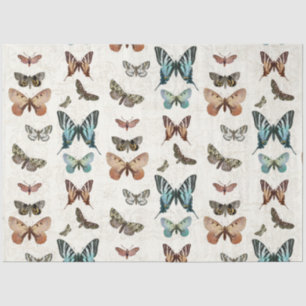 Vintage Decoupage des Butterfly Blue Peach Seidenpapier