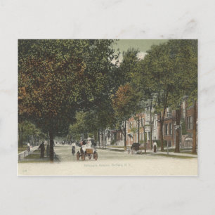 Vintage Delaware Ave. Buffalo, New York Postkarte