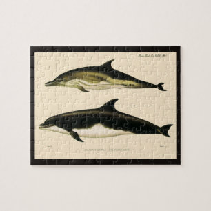 Vintage-Delfine, Meeressäugetiere Tiere  Puzzle