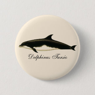 Vintage Delphine Delphinus Tursio, Meeressäugetier Button