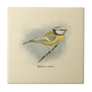 Vintage Deutsche Blue Tit Illustration Fliese