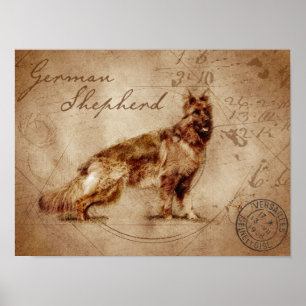 Vintage Deutscher Schäferhund Poster