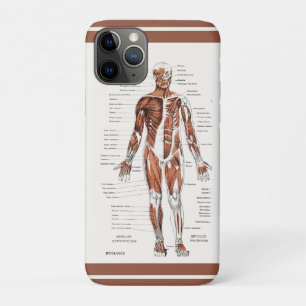 Vintage Diagramm des Muskel-Kreislaufsystems Case-Mate iPhone Hülle