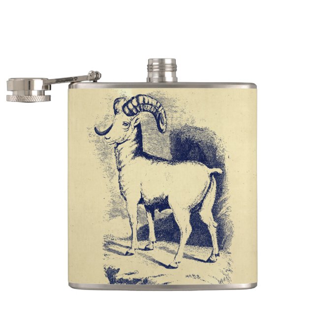 VINTAGE DICHHORN SCHAF FLACHMANN (Geöffnet)
