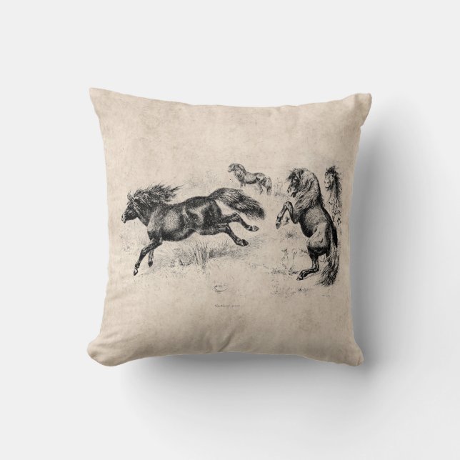 Vintage die Shetlandinseln-Ponys - Pferd 1800's Kissen (Vorderseite)