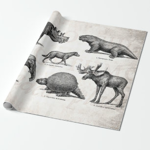 Vintage Dinosaur Alte Illustration Retro Dinosauri Geschenkpapier
