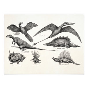 Vintage-Dinosaur-Illustration Retro-Dinosaurier Fotodruck