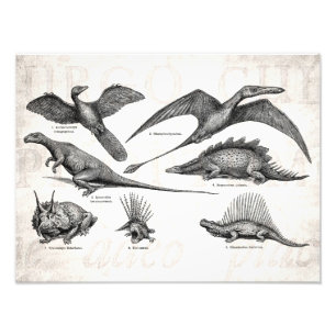 Vintage-Dinosaur-Illustration Retro-Dinosaurier Fotodruck