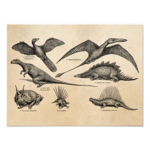 Vintage-Dinosaur-Illustration Retro-Dinosaurier Fotodruck