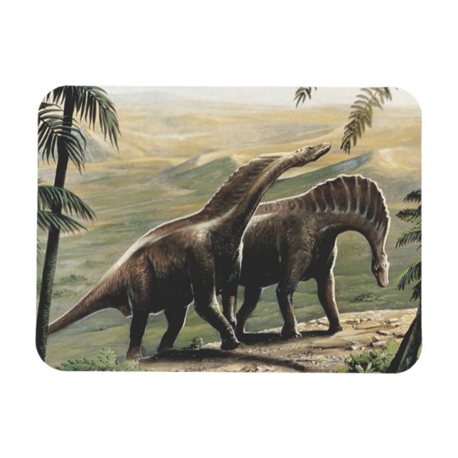 Vintage Dinosaurier, Amargasaurus mit Palmen Magnet (Horizontal)