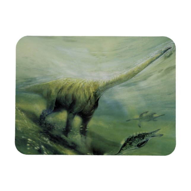 Vintage Dinosaurier, Brachiosaurus Schwimmen im Oz Magnet (Horizontal)