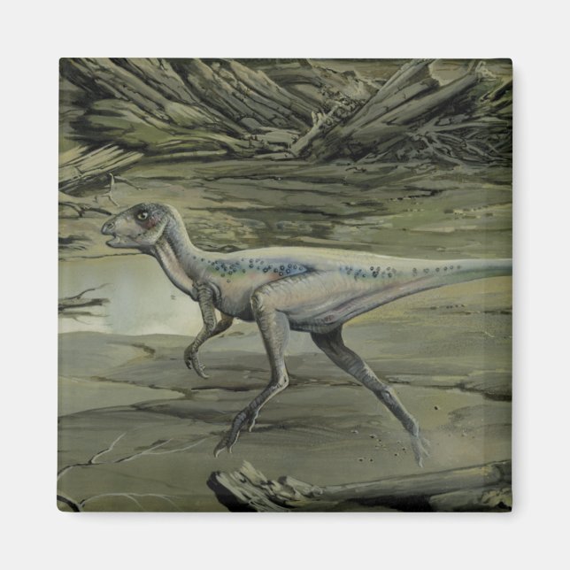 Vintage Dinosaurier, ein krebserregendes Hypsiloph Magnet (Vorne)