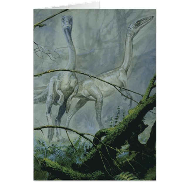 Vintage Dinosaurier, Megapnosaurus aka Syntarsus (Vorne)