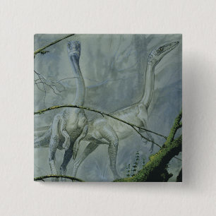 Vintage Dinosaurier, Megapnosaurus aka Syntarsus Button