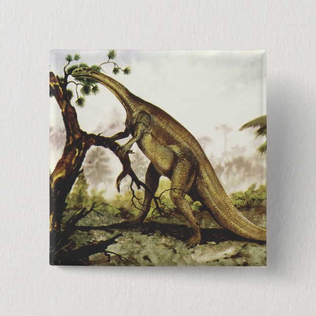 Vintage Dinosaurier, Plateosaurus Weiden auf Bäume Button (Vorderseite)
