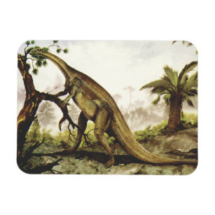 Vintage Dinosaurier, Plateosaurus Weiden auf Bäume Magnet