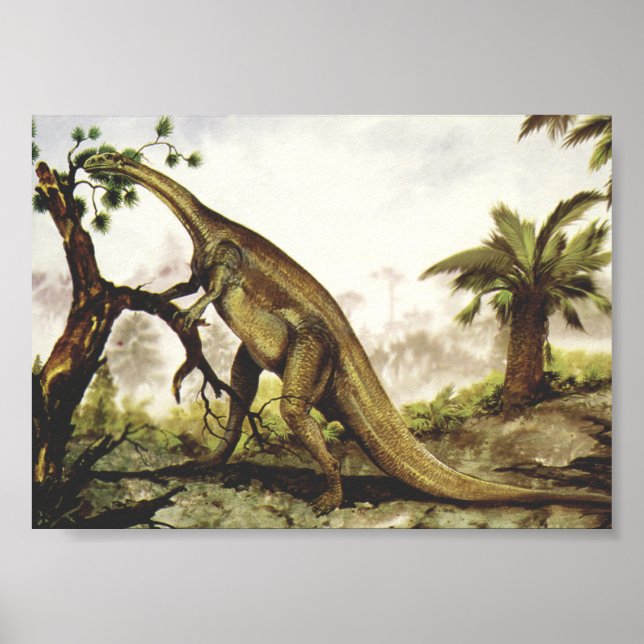 Vintage Dinosaurier, Plateosaurus Weiden auf Bäume Poster (Vorne)
