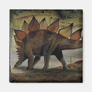 Vintage Dinosaurier, Stegosaurus, Schwanz mit Spik Magnet