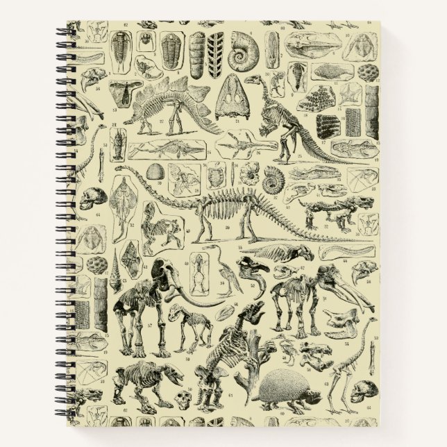 Vintage-Dinosaurierknochen-Fossilien-Kunst Notizbuch (Vorderseite)