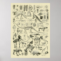 Vintage-Dinosaurierknochen-Fossilien-Kunst