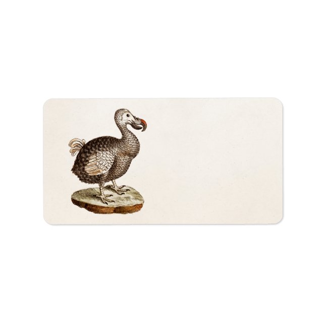 Vintage Dodo-Bird-Illustration 1700 Dodo-Vögel Adressaufkleber (Vorne)