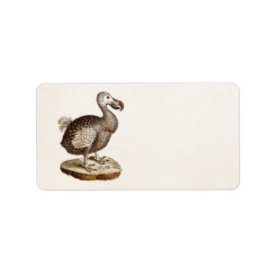 Vintage Dodo-Vogel-Illustration 1700s Dodo-Vögel Adressaufkleber