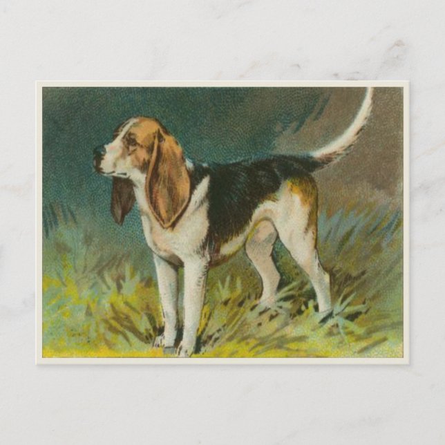 Vintage Dosenpostkarte mit Niedlichem Beagle Postkarte (Vorderseite)