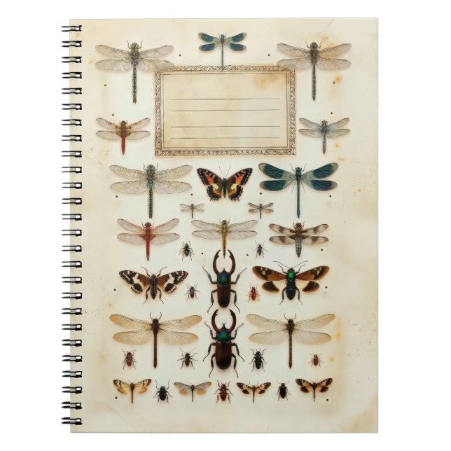 Vintage Dragonfly Beetle Taxonomy Specimen Chart Notizblock (Vorderseite)