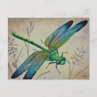 Vintage Dragonfly Nr. 3 und Grass Wasserfarbe Kuns Postkarte