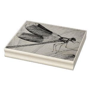 Vintage Dragonfly Nr. 5 und Grass Wasserfarbe Kuns Gummistempel