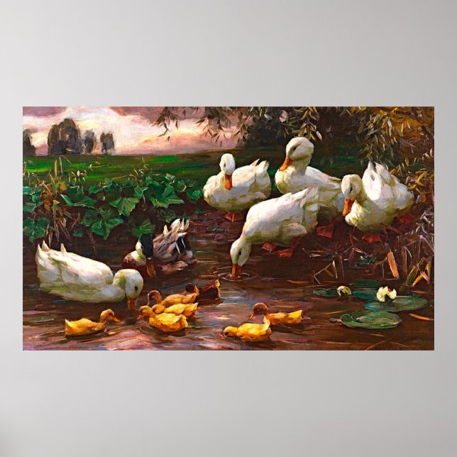 Vintage Drake With White Ducks & Yellow Ducklings Poster (Vorne)