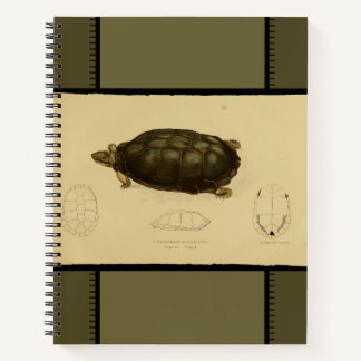 Vintage-Druck eines Schildkröten-Notizbuchs Notizbuch