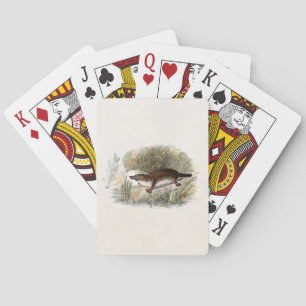 Vintage Duck Bill Platypus Illustration aus dem 19 Spielkarten