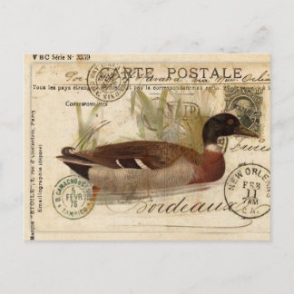 Vintage Duckkarte Postkarte