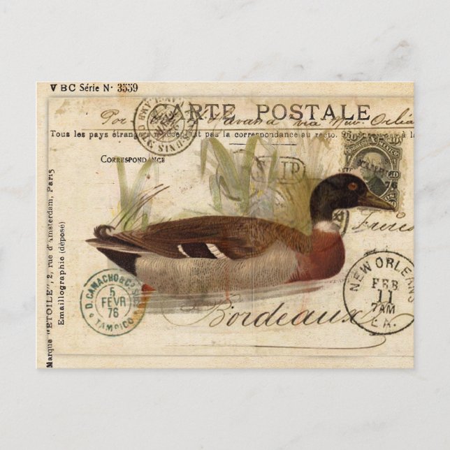 Vintage Duckkarte Postkarte (Vorderseite)