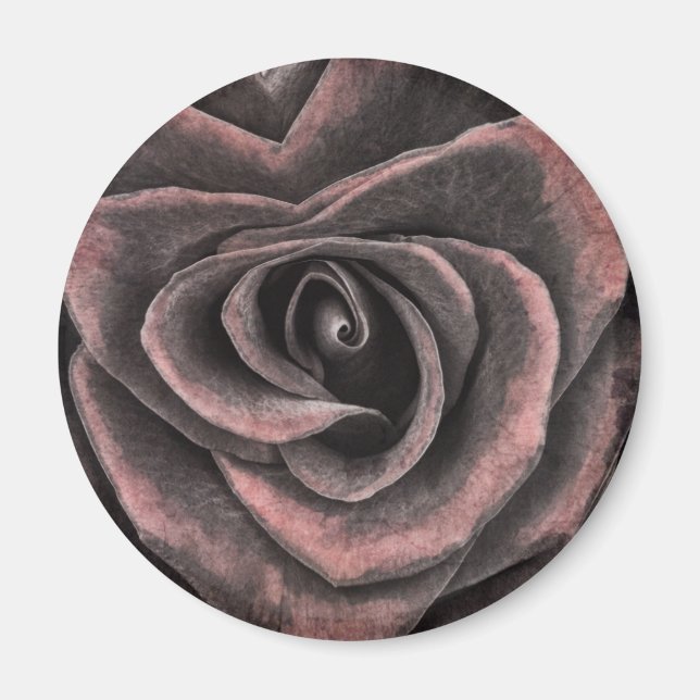 Vintage dunkle Lila Rose Kunst Magnet (Vorne)