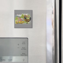 Vintage Easter Chicks & Rooster Gray Design