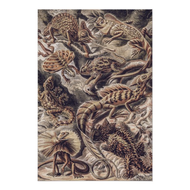 Vintage Echsen-Tiere von Ernst Haeckel  Poster (Vorderseite)